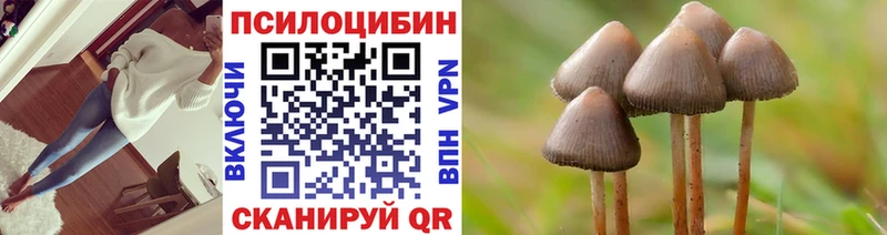 Псилоцибиновые грибы Cubensis  OMG как войти  Волгодонск  сайты даркнета клад  где купить наркоту 