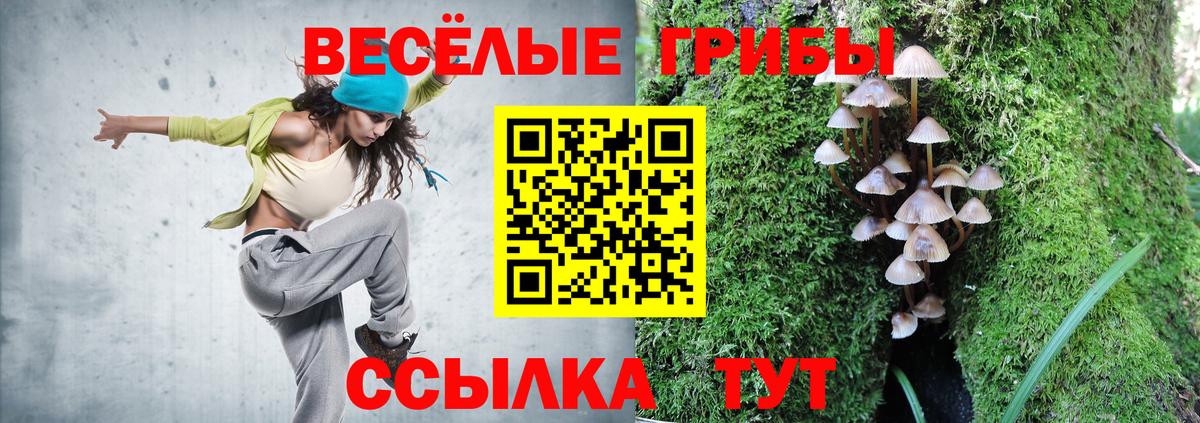 Галлюциногенные грибы GOLDEN TEACHER  Вход с VPN  Волгодонск 