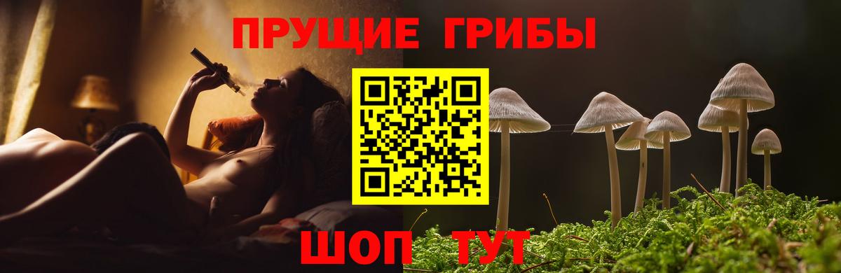 Псилоцибиновые грибы Cubensis Волгодонск
